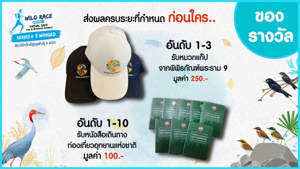 WILD RACE Season 1 Series 5 : Virtual Race For 19 Reserved Animals “วิ่งวิถีใหม่ เพื่อสัตว์ป่าสงวนของไทย”|ของรางวัล-04.jpg